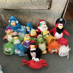 i want to be noticed