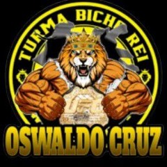 2025 TURMA BICHO REI - OSWALDO CRUZ - MC RODRIGO 22