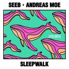 Seeb, Andreas Moe - Sleepwalk (Jeytvil Bootleg)
