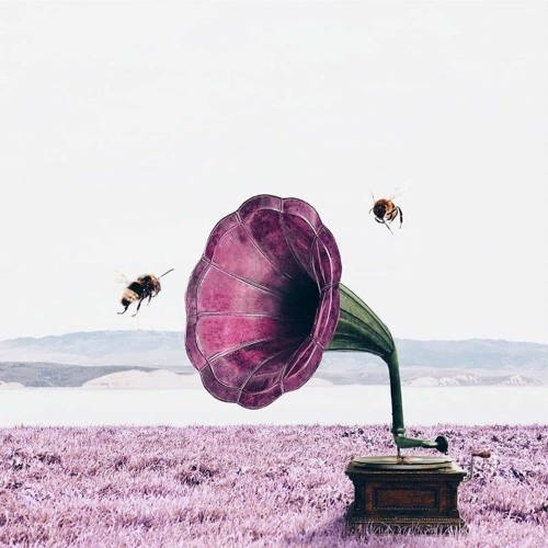 Snejka - Metamorphoses New Mix (June 2020)