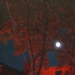 Roblox SCP-3008 OST - Friday Theme (Sped Up)