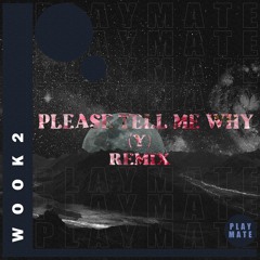 Please Tell Me Why (Y) [WOOK2 Remix]