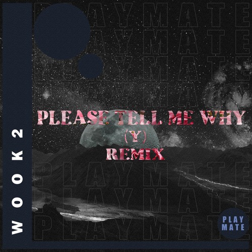 Please Tell Me Why (Y) [WOOK2 Remix]