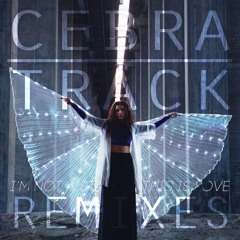 I'm Not a Stalker, This is Love - Remixes