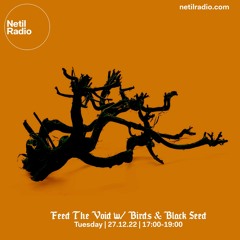 Feed The Void w/ Birds & Black Seed 27/12/2022