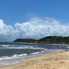 Jan 23 // pianist colony // Afro House, Melodic House