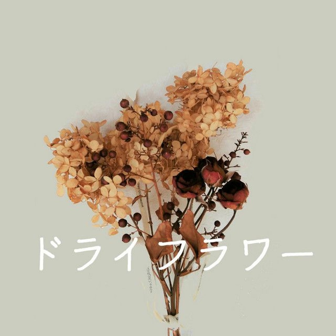 優里 サイン ドライフラワー ドライフラワー - Single - 優里のアルバム - Apple Music