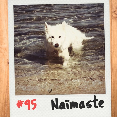 #95 ☆ Igelkarussell ☆ Naïmaste 🐺