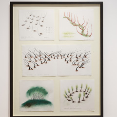 (AD) David Nash, 'The Planted Works' 1977–1992