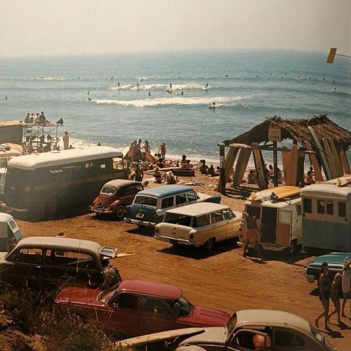 netflix in the morning