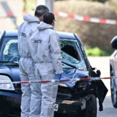 Link mannheim täter  amokfahrt mannheim mannheim menschenmenge mannheim car