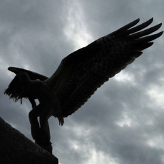 same blood w brother & sister