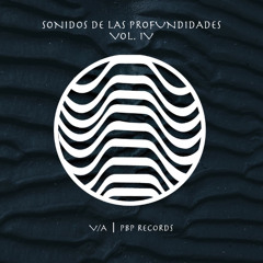 PREMIERE | Schallfeld - Zenith Pulse (Sean Swanky Remix) [PBP Records]