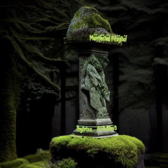 Mänifëstëd PłäyBöi IHYTrixx X BTD.$TEV3