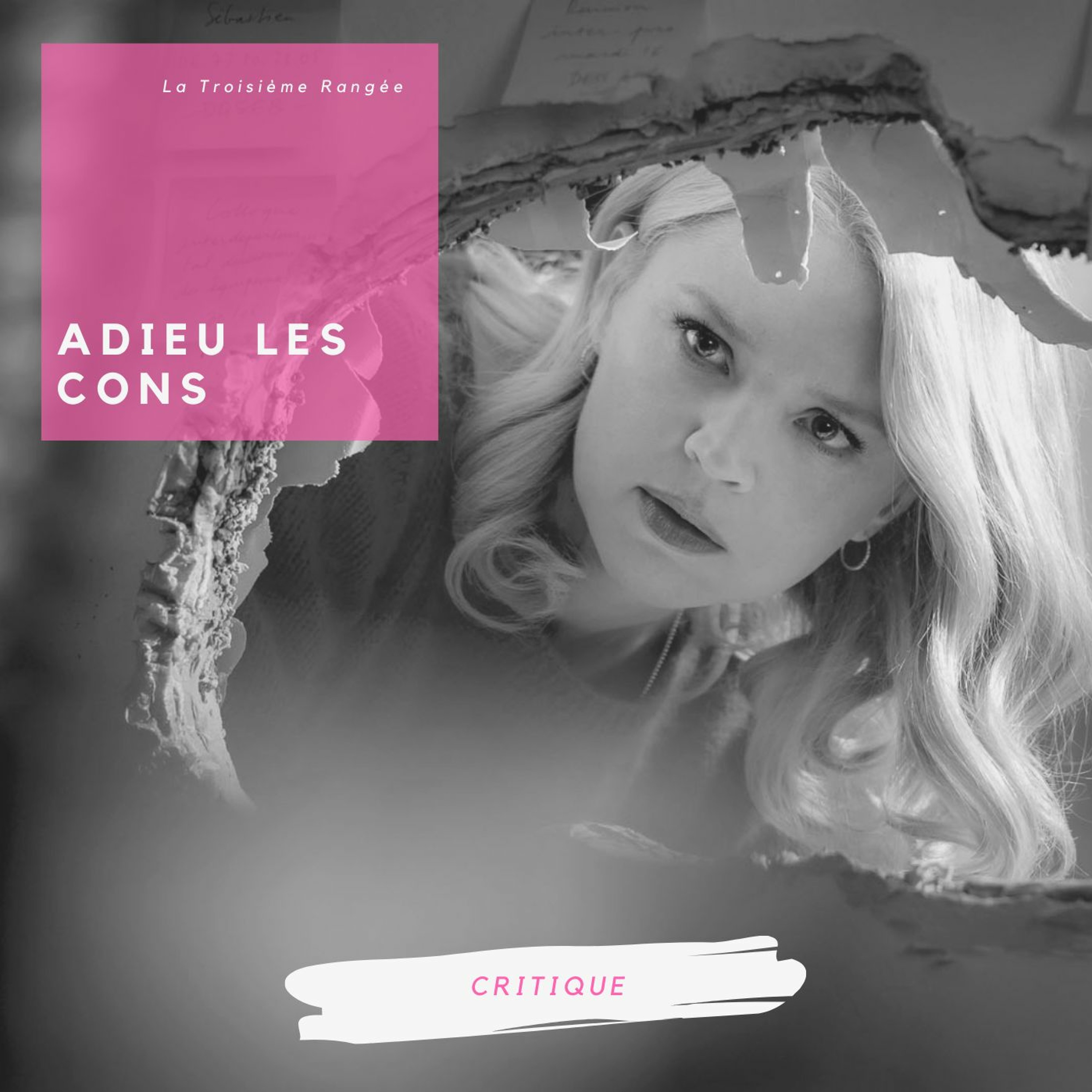 Critique - Adieu Les Cons