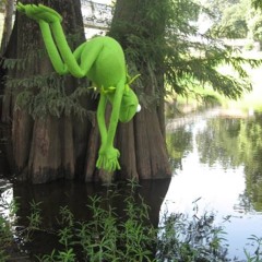 Tadpole Tales Vol. 2 - Wonky Waters