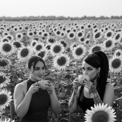 „I dTír na nGrianbláthanna“ – Im Land der Sonnenblumen