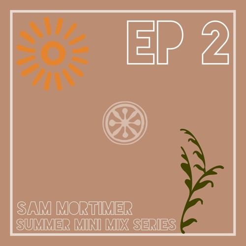 SMMS - EP2