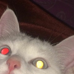 [FREE] Slutty Sonny x Jasiah Type Beat