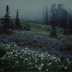 nao mando no coracao [wintrrskg]