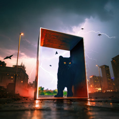 Electricity