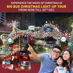 Review Special Price Singapore Christmas Lightup Tour