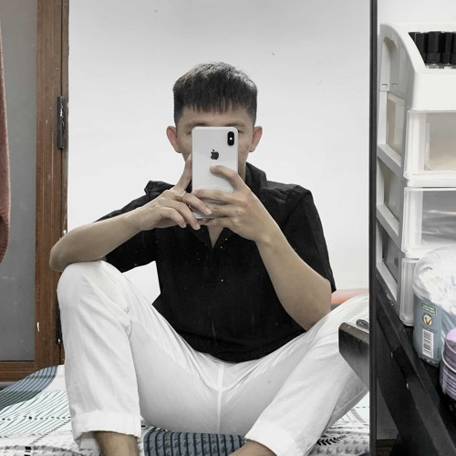 VIETMIX 2025- Cành Phi Yến Trong Mưa - Hào Nhỏ Mix