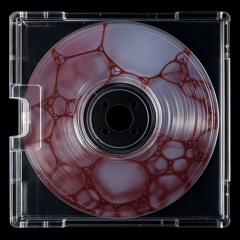 get it ft beezy b (p. meerski n me)