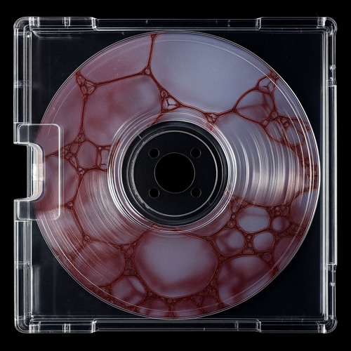 runtz 2 (p. meerski n slimemypill)