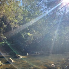 Aerosphere Nightshift