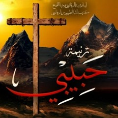 انا جايلك انا ابنك ( حبيبي )  - فريق التسبيح ليكن نور