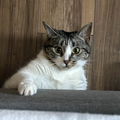 you couldnt be a better friend to me ❤️