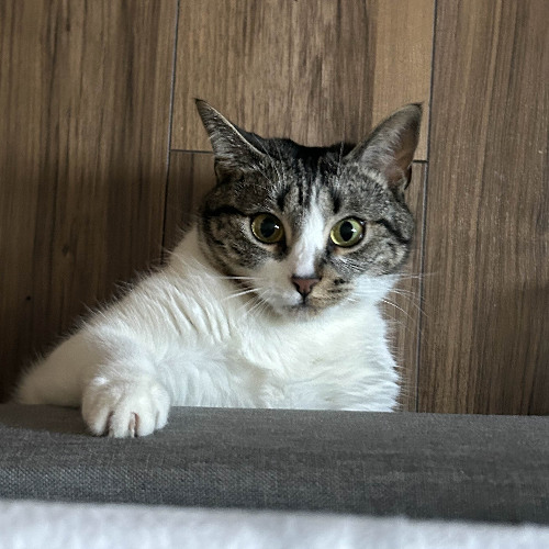 you couldnt be a better friend to me ❤️