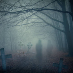 Til We Were Ghosts