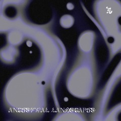 Autoscopy 008
