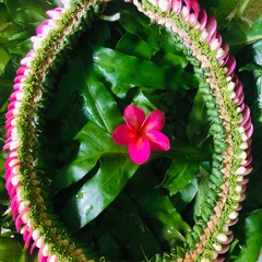 Outer island of Yap #4