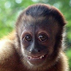 ✋ᴺʸᶜᴷᴼ TRENZIN DO YABUJIN