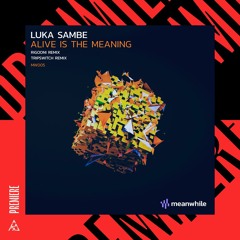 Premiere | Luka Sambe - Alive Is The Meaning (RIGOONI Remix) [Meanwhile]