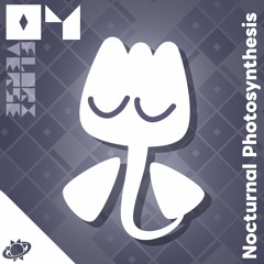 Nocturnal Photosynthesis