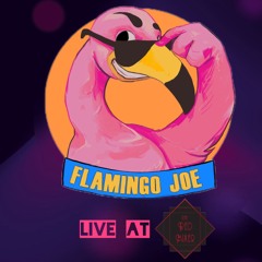 Flamingo Joe Live At The Red Mixer
