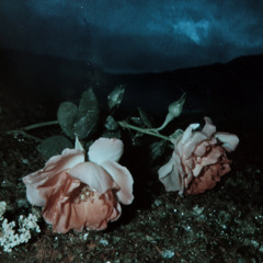 Like Flowers We Wither Away