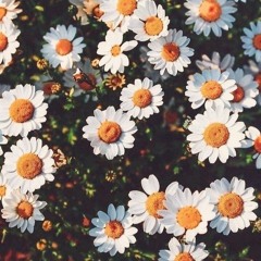 I'm yours | cover