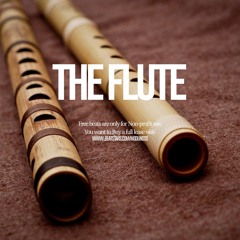 (FREE) The Flute - Flute/Guitar type beat 2020