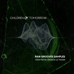 Samples Pack - Raw Grooves Samples (demo)
