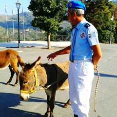 Sicherheitssynergie (12.12.2022)