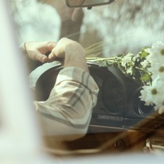 alexander wesley - love me or not