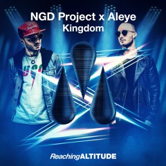 NGD Project X ALEYE - Kingdom (Radio Edit)