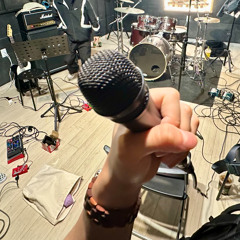 278th voice, I decide to be perfect