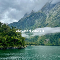 Elevated Vibes 3 - 26-01-2025
