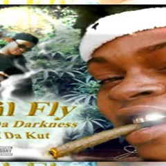 Shawty Pimp feat Reddog - Kickin' Pimpin
